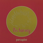 Porcupine by Lis Harvey