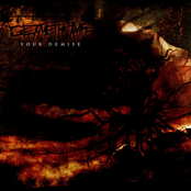 Your Demise