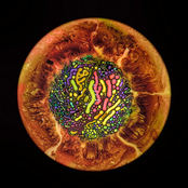 Freshly Severed Heads