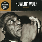 Goin' Down Slow by Howlin' Wolf