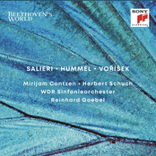 Symphony in D Major, Op. 23/II. Andante