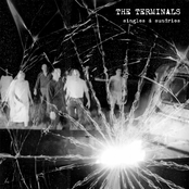 Do The Void by The Terminals