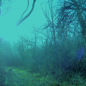 From A K-hole In A Basement (Not On A Hill)