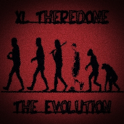 The Evolution