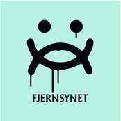 Fjernsynet