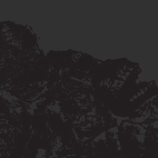 Crows Eat The Eyes From The Leviathans Carcass