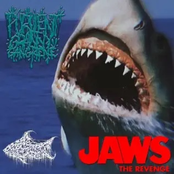 JAWS THE REVENGE