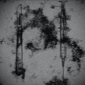 PUTRID FLESH