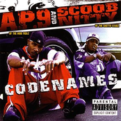 Codenames