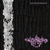 Repurposed Behemoth (single)