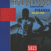 Murder Dog