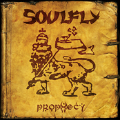 Wings by Soulfly
