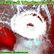 Destiny Embraces