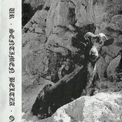 Ur / Sentimen Beltza / Ostots