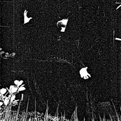 Wampyriskra Morte 2nd Edition