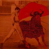 Lang Hair in Three Stages