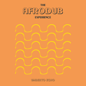 The Afrodub Experience