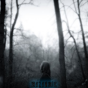 Сети Морока