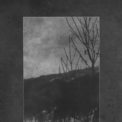 Visionaries Of Valiant Vagaries (Split)