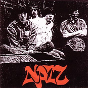 Hang On Paul by Nazz