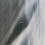 fluid