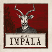 we are impala