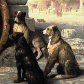 ' ReviTalizaR . & DeixAr ... *