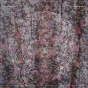 Waiting for the Ladies