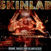 Skinlab: Bound, Gagged and Blindfolded