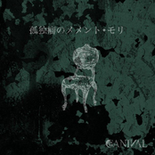 孤独癖のメメント・モリ