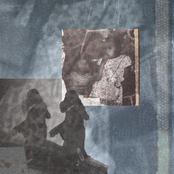 Cuentos para libélulas