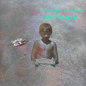 Slaughter Beach: Love/Venice