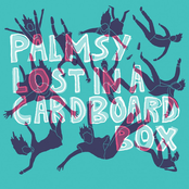 Lost in a Cardboard Box