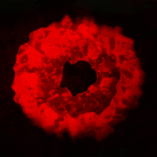 Death Beats - Single