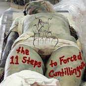 The 11 Steps To Forced Cuntillingus