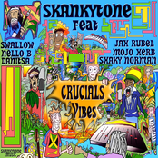 skankytone