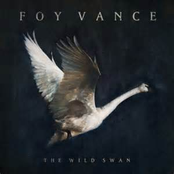 Foy Vance: The Wild Swan