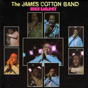 Chicken Heads by The James Cotton Band