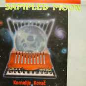 The Sampled Moonlight