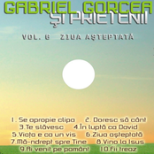Gabriel Gorcea, Vol. 6 (Ziua Asteptata)