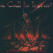 A Call to Irons: A Tribute to Iron Maiden, Volume 2