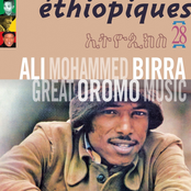 Ethiopiques 28: Great Oromo Music