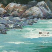 Bloom - Daylight