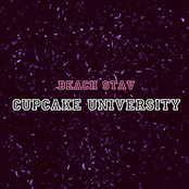 Cupcake University