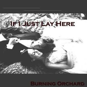 If I Just Lay Here - Single