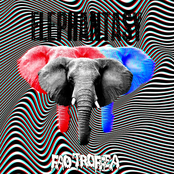 Elephantasy