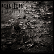 Album cover for The End Of Greatness, by Mulm