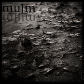 The End Of Greatness by Mulm