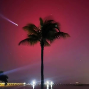 Love It (Tottenham Away)