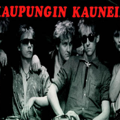 Kaupungin Kaunein